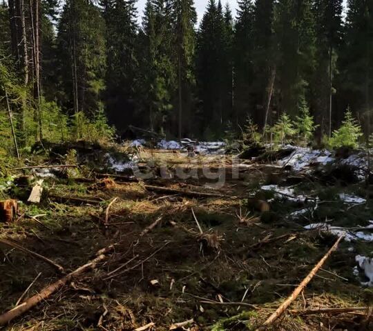 городской округ Ревда, Ревда фото