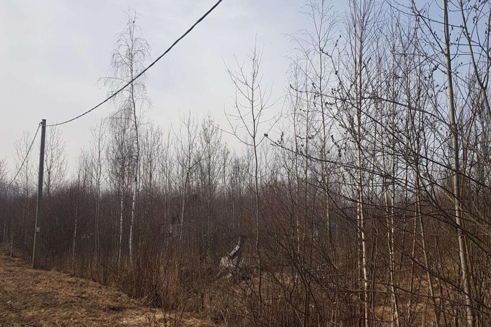 земля р-н Новгородский садоводческий массив № 3, садоводческое товарищество нка фото 4