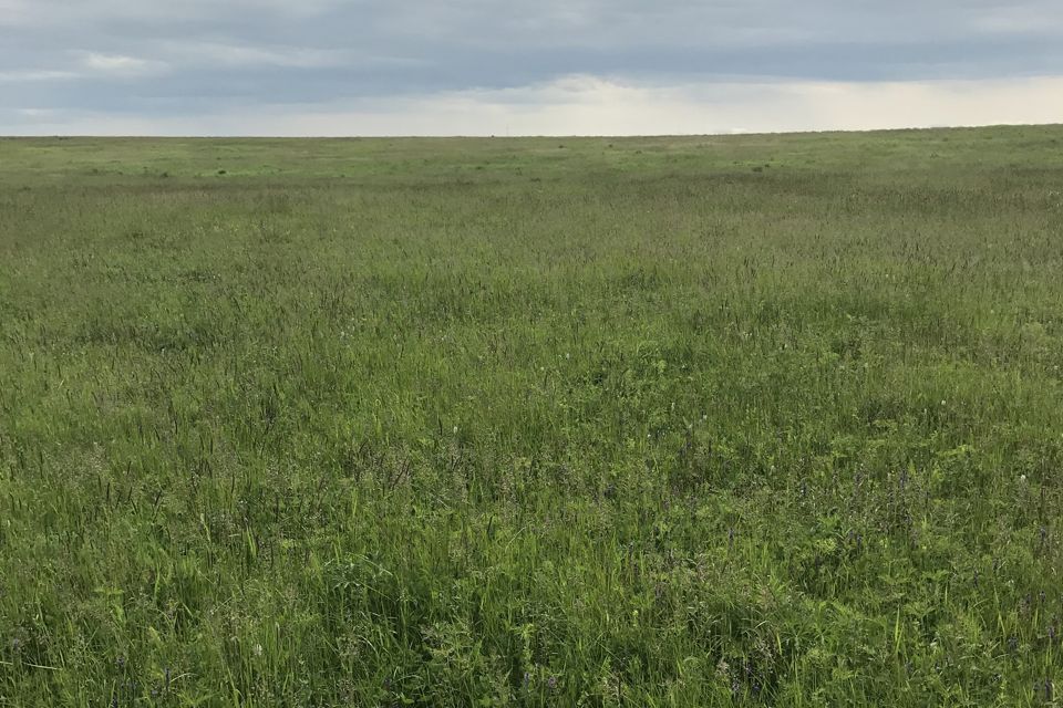 земля р-н Березовский СТ Лиственная грива, Васильковая улица, 1 фото 4