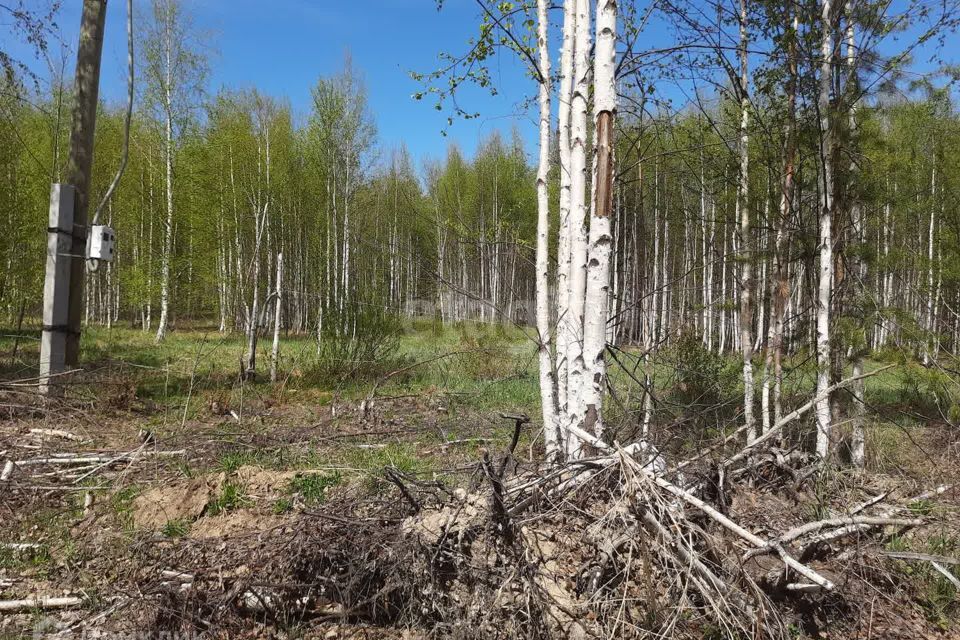 земля г Екатеринбург Екатеринбург, коттеджный посёлок Седьмая Дача, муниципальное образование фото 5