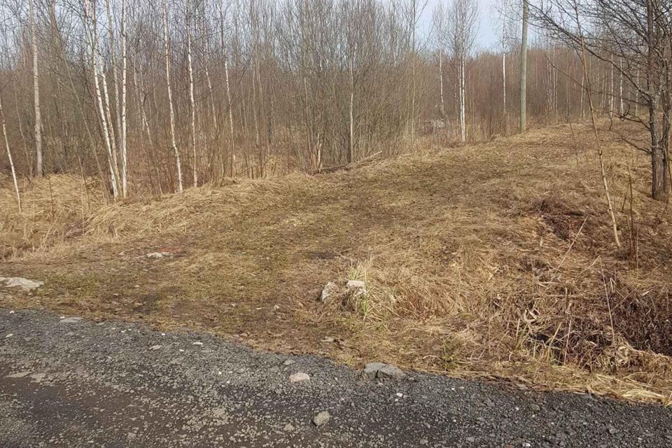 земля р-н Новгородский садоводческий массив № 3, садоводческое товарищество нка фото 6