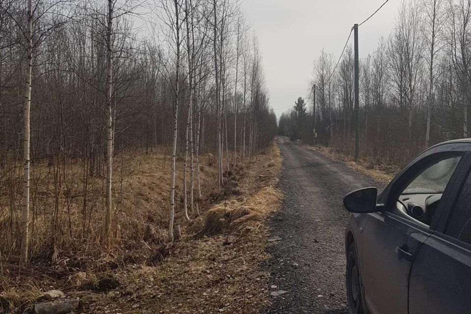 земля р-н Новгородский садоводческий массив № 3, садоводческое товарищество нка фото 7