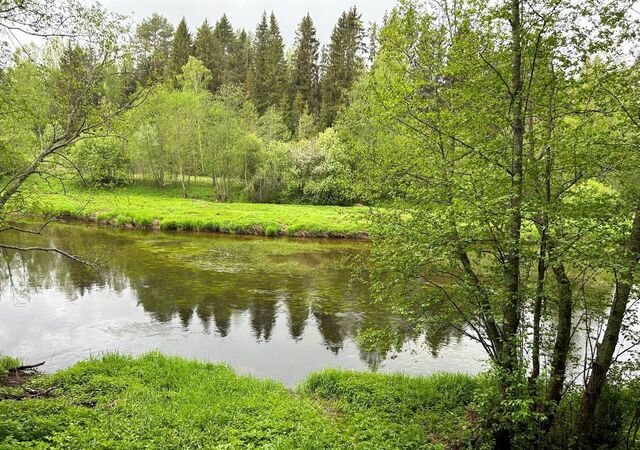 земля д Селино Кувшиново фото