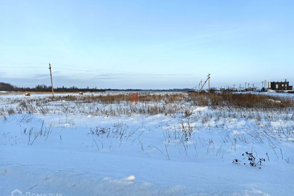 земля р-н Тюменский село Чикча фото 3