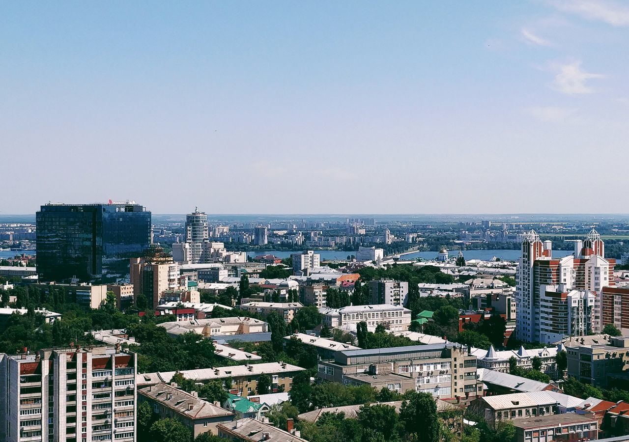 квартира г Воронеж р-н Ленинский фото 9