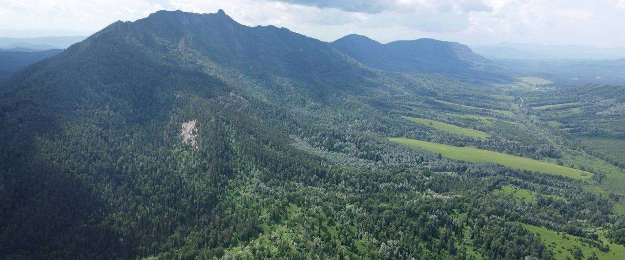 земля р-н Турочакский с Турочак фото 3