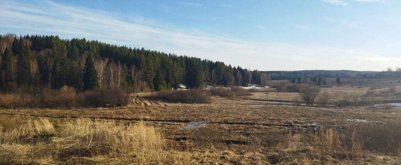 земля г Киселевск д Александровка ул Цветочная фото 4