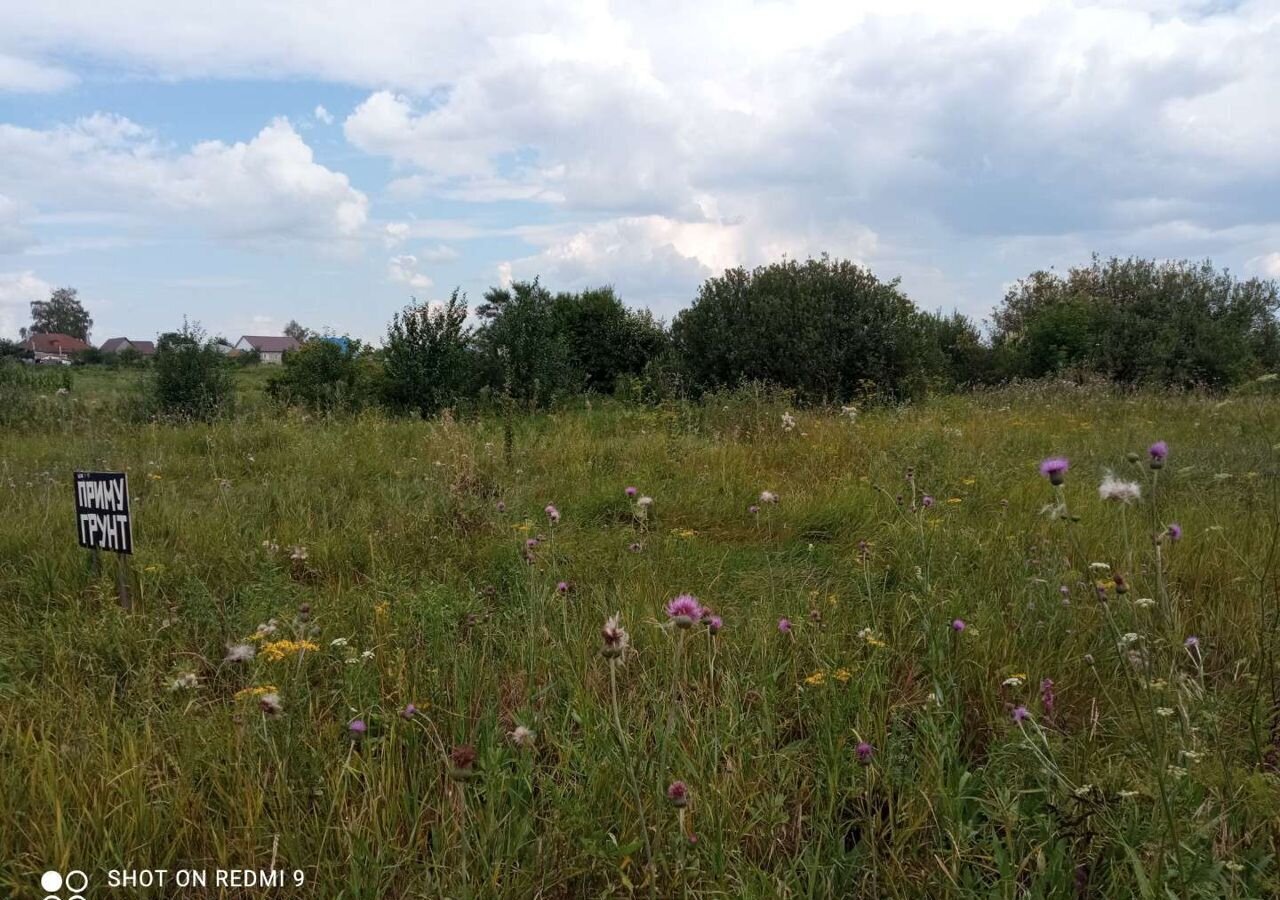 земля р-н Новоусманский с Орлово Орловское сельское поселение, село Красино фото 4