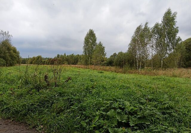 сельское поселение Село Совхоз Чаусово фото