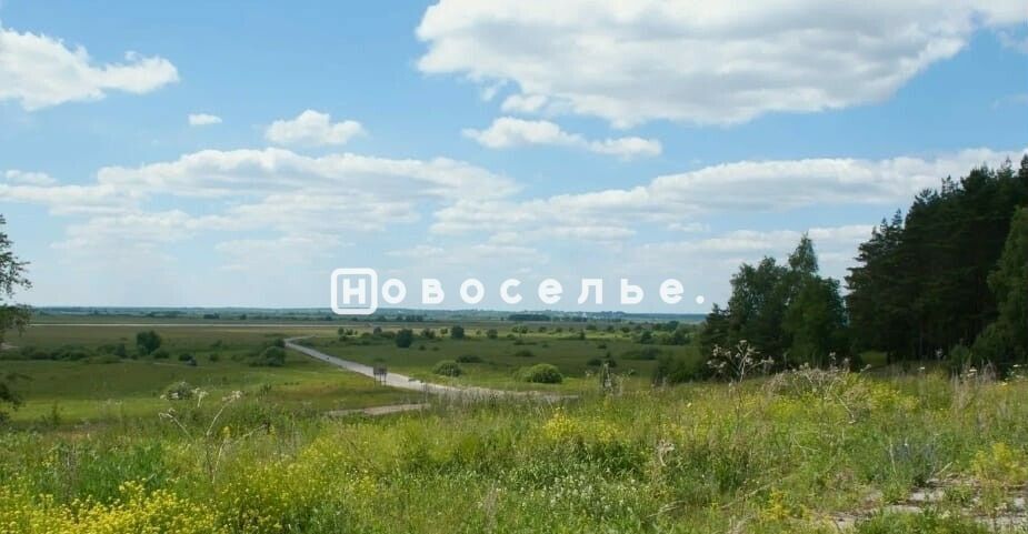 земля р-н Рязанский с Кораблино Вышгородское сельское поселение, Мурмино фото 4