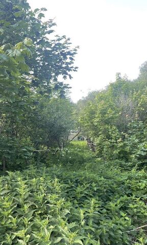 земля сад Теплая гора Кировская фото