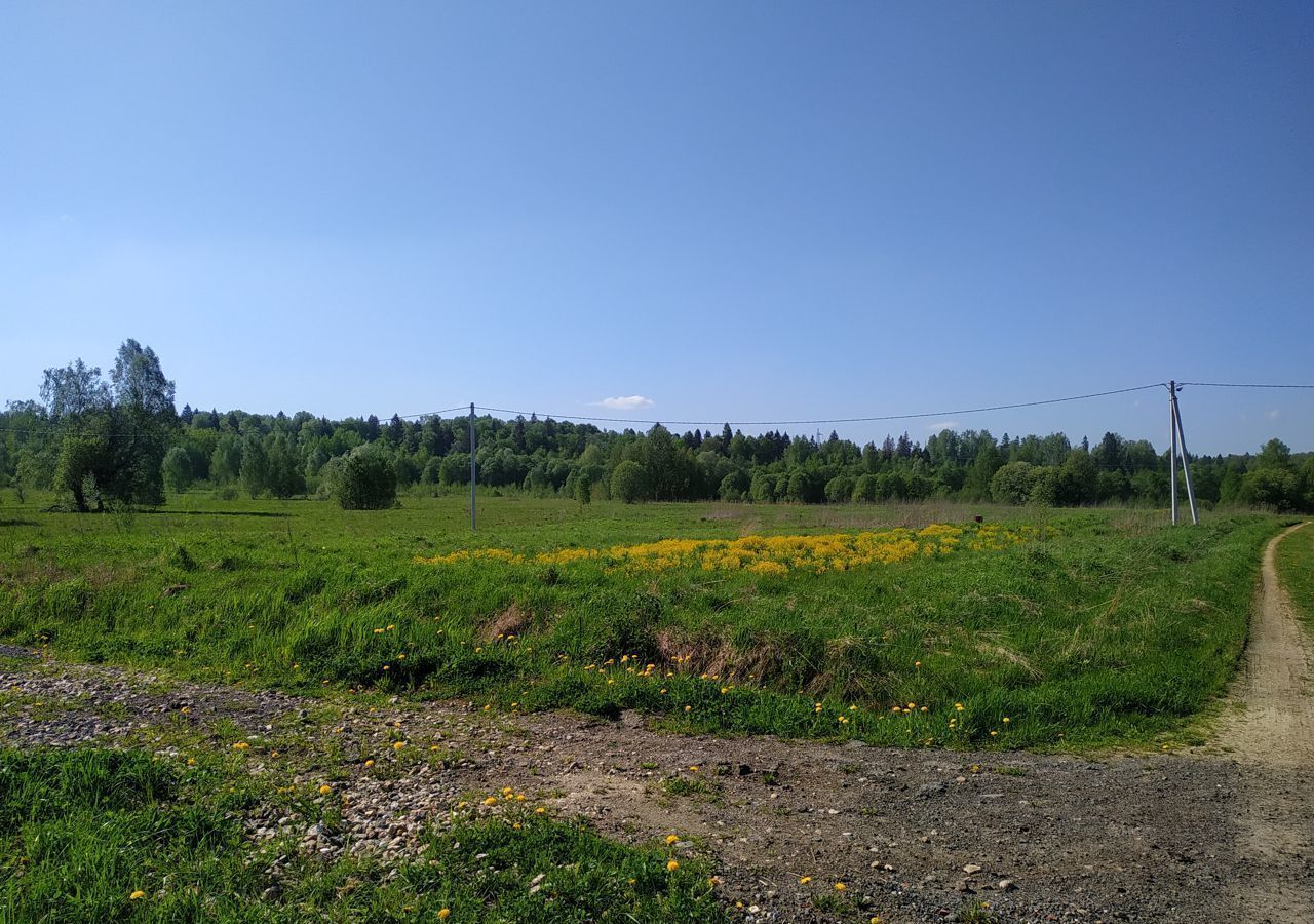 земля городской округ Солнечногорск д Зеленино Солнечногорск фото 6