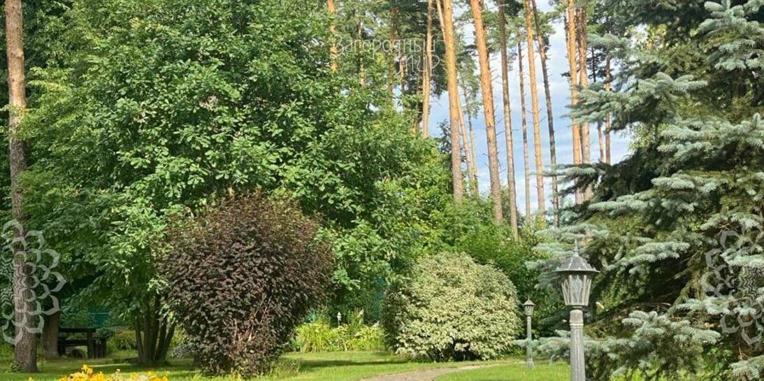 дом г Лосино-Петровский рп Свердловский Гвардейский проезд Звездный пкс фото 39