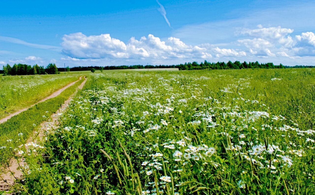 земля г Копейск с Калачево фото 1