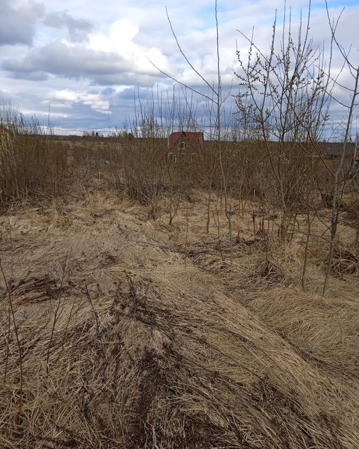 земля городской округ Шаховская д Степаньково ул Молодежная фото 9