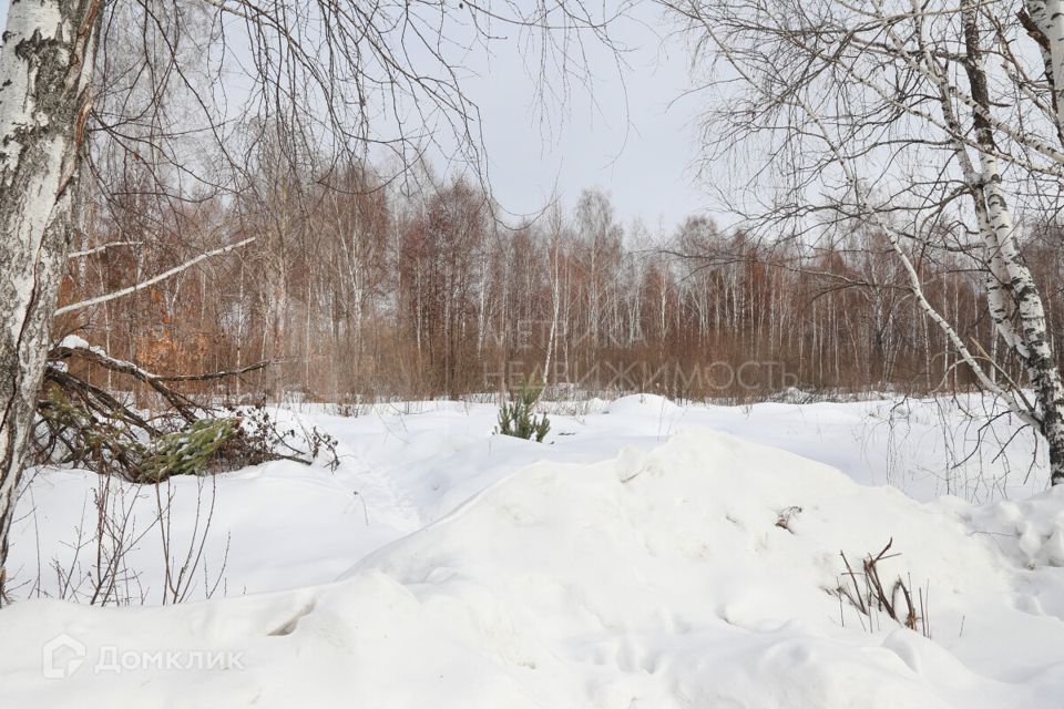 земля р-н Тюменский посёлок городского типа Боровский фото 1