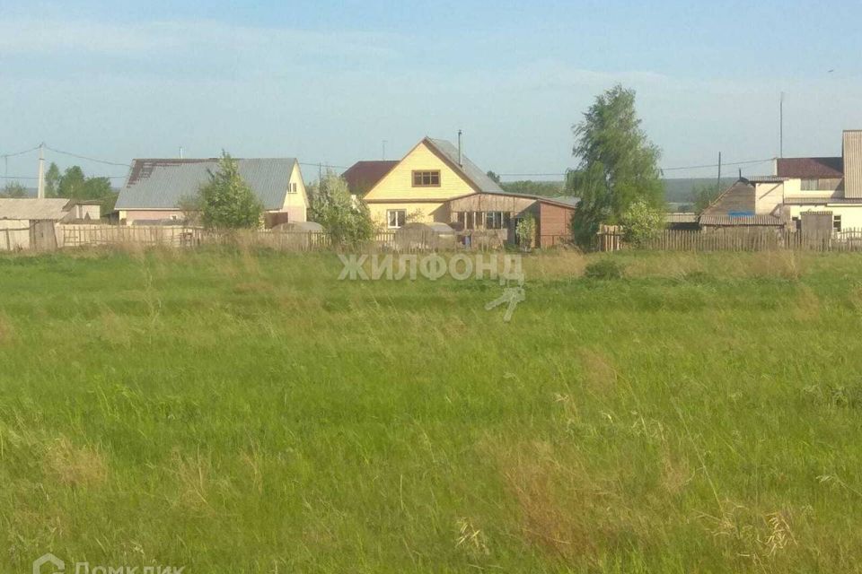 земля р-н Ордынский село Красный Яр фото 1