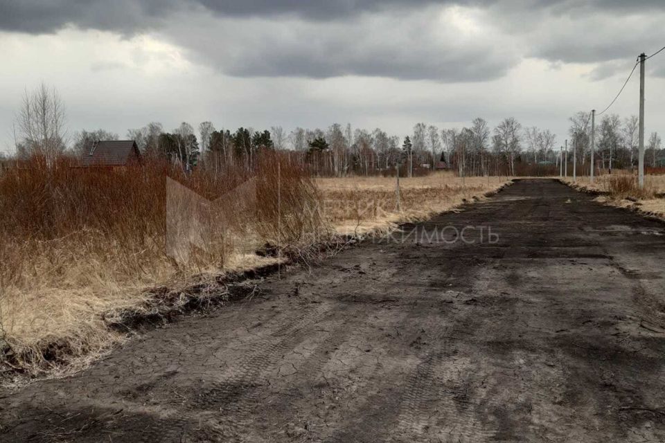 земля г Тюмень городской округ Тюмень, ДНТСН Зелёный Бор фото 5