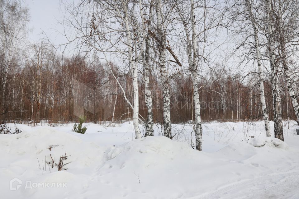 земля р-н Тюменский посёлок городского типа Боровский фото 9