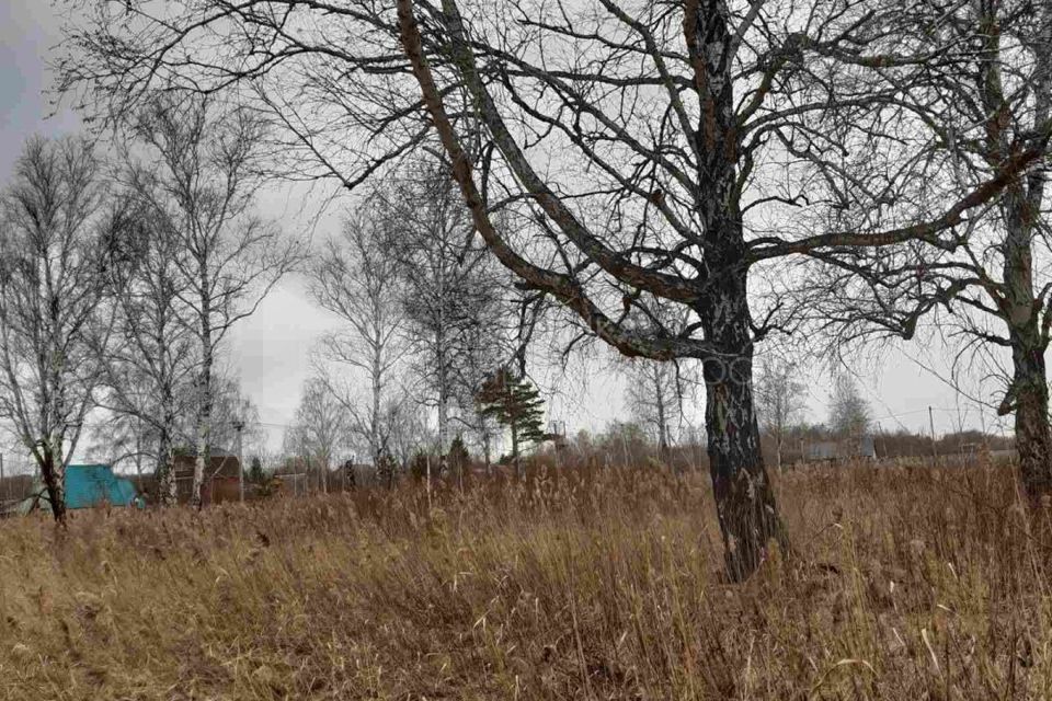 земля г Тюмень городской округ Тюмень, ДНТСН Зелёный Бор фото 7