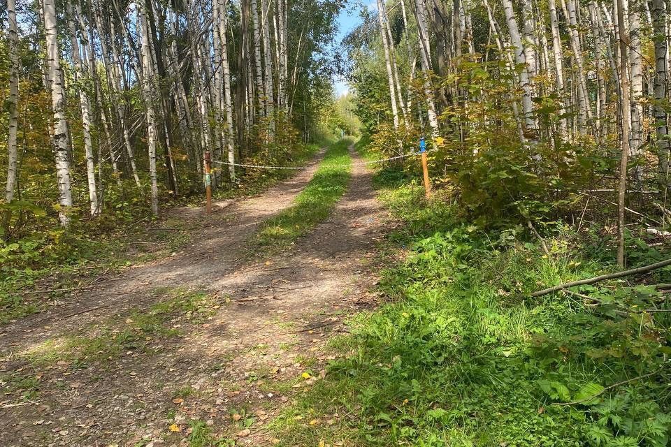 дом р-н Богородский с Каменки Доброволец, 134, садоводческое товарищество фото 10