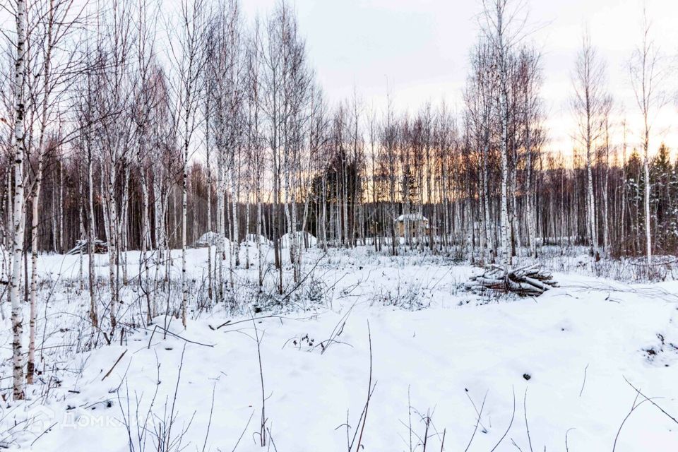 земля городской округ Тюмень, Гранатовая улица, СНТ Медик фото 8