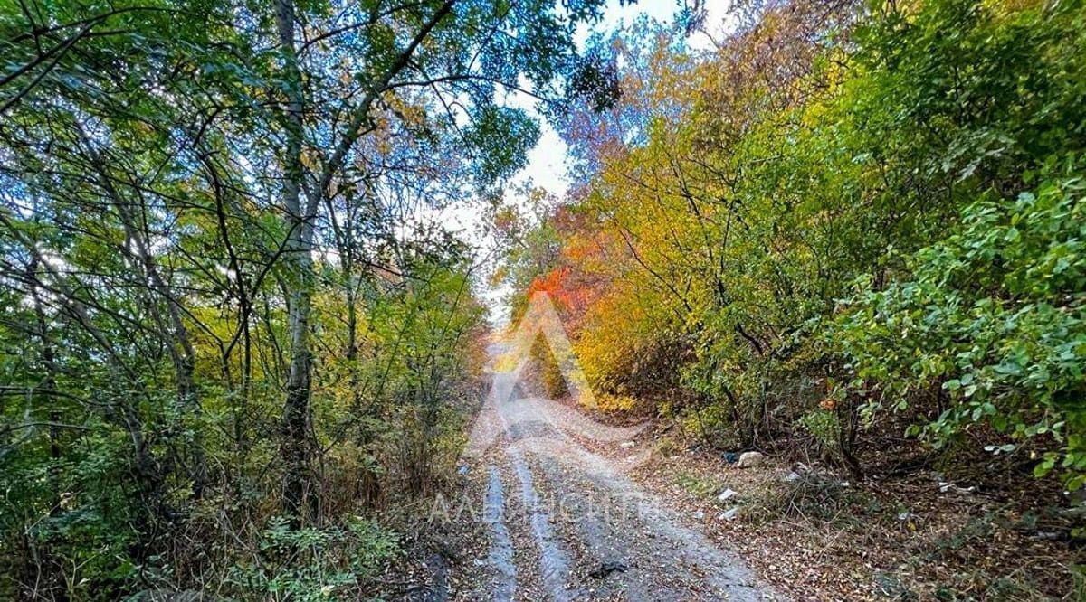 земля г Алушта с Лавровое фото 8