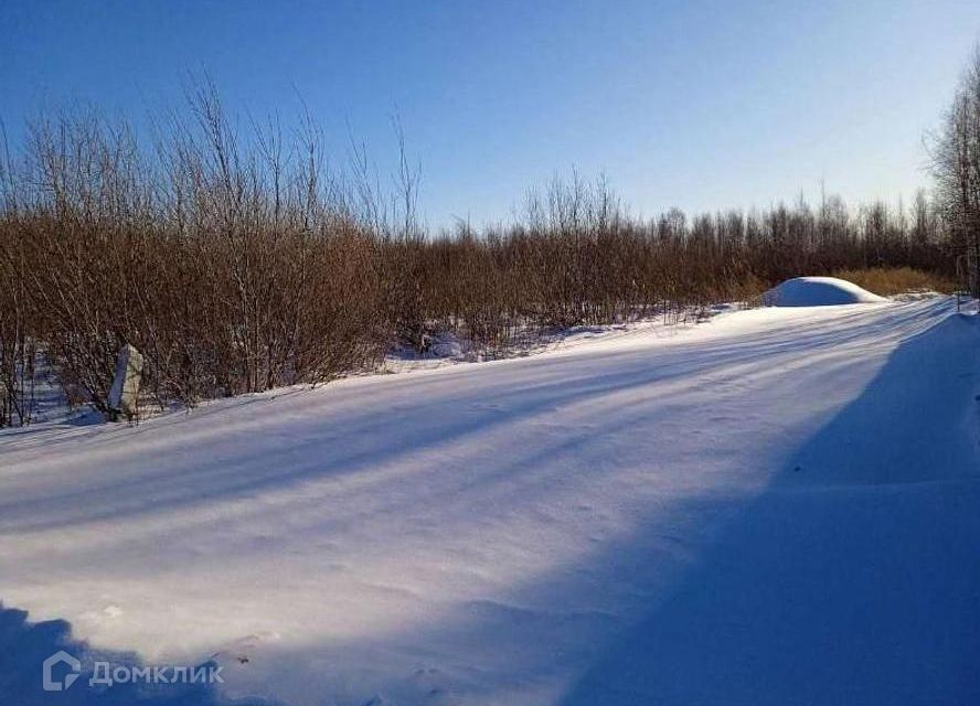 земля г Тюмень городской округ Тюмень, садовое товарищество Лаванда фото 2