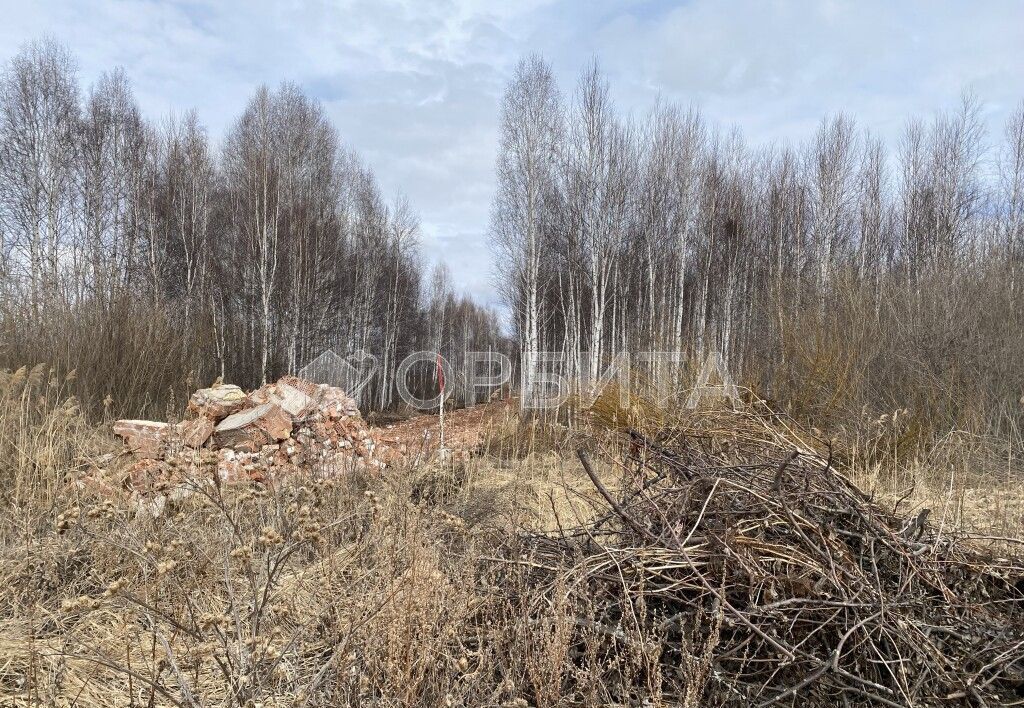 земля р-н Нижнетавдинский снт Моторостроитель Тюмень фото 6