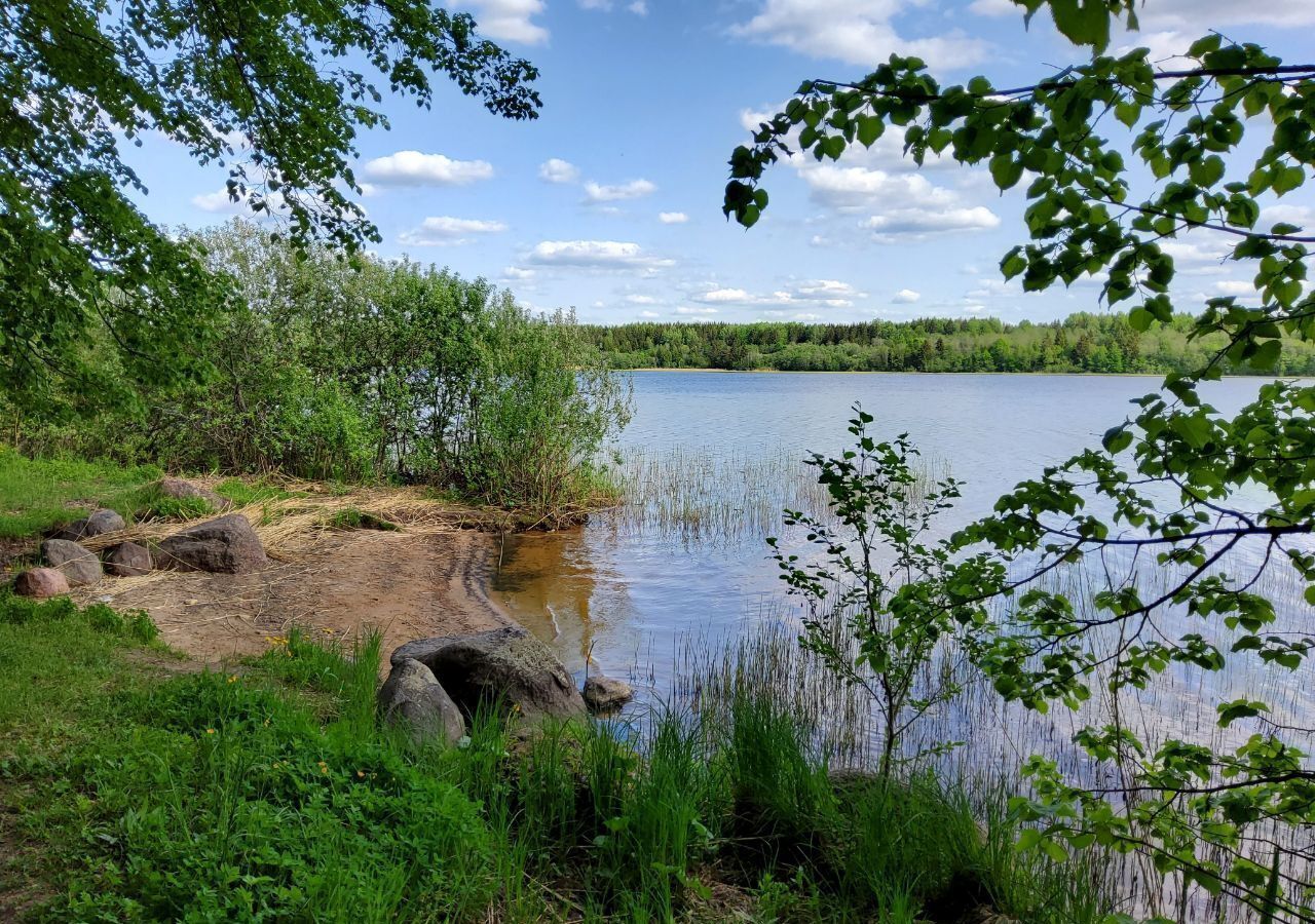 земля р-н Гатчинский с Орлино Дружногорское городское поселение, коттеджный пос. Орлино Парк, 39, Дружная Горка фото 18