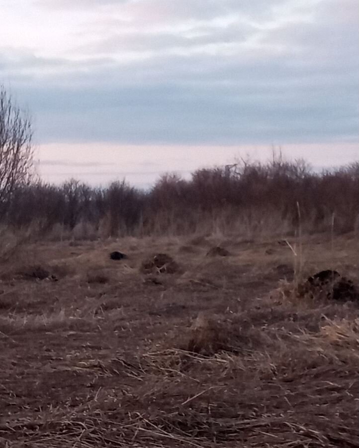 земля р-н Веневский д Рассылкино Центральное, муниципальное образование, Венев фото 12