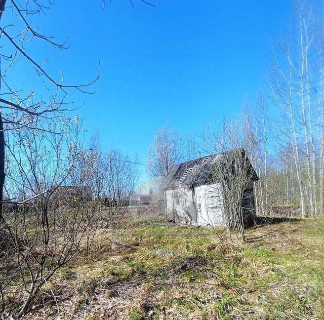 земля р-н Новгородский снт Здоровье Панковское городское поселение, № 3 садоводческий массив, садоводческое товарищество фото 5