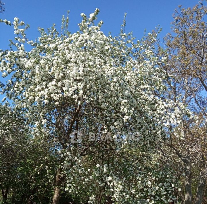 земля р-н Гурьевский п Моргуново снт Баевка-2 фото 5