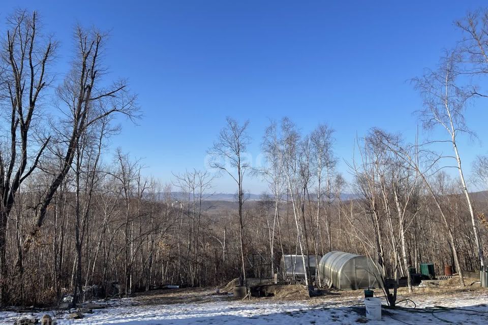 земля Владивостокский городской округ, дачный массив Синяя Сопка, СНТ Витязь фото 5