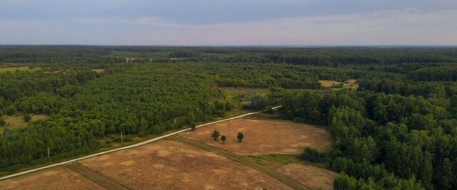 д Пашково Страховское муниципальное образование фото