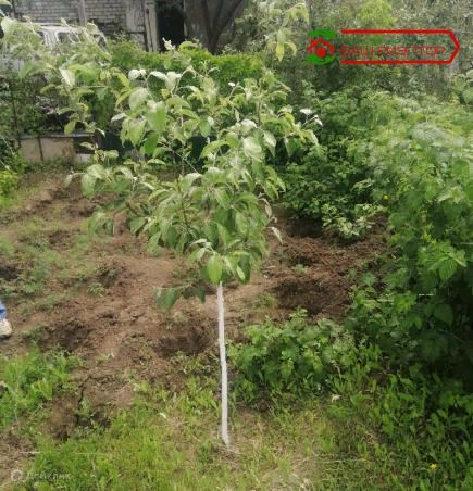 дом г Саратов проезд 7-й Лагерный городской округ Саратов фото 3