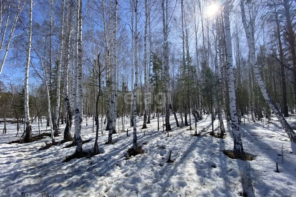 земля г Екатеринбург Екатеринбург, посёлок Рудный, муниципальное образование фото 3