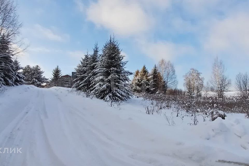 земля р-н Кунгурский д Снегири пер Новый фото 3