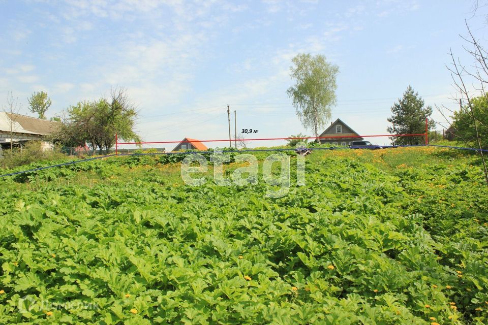 земля р-н Шимский село Подгощи фото 2