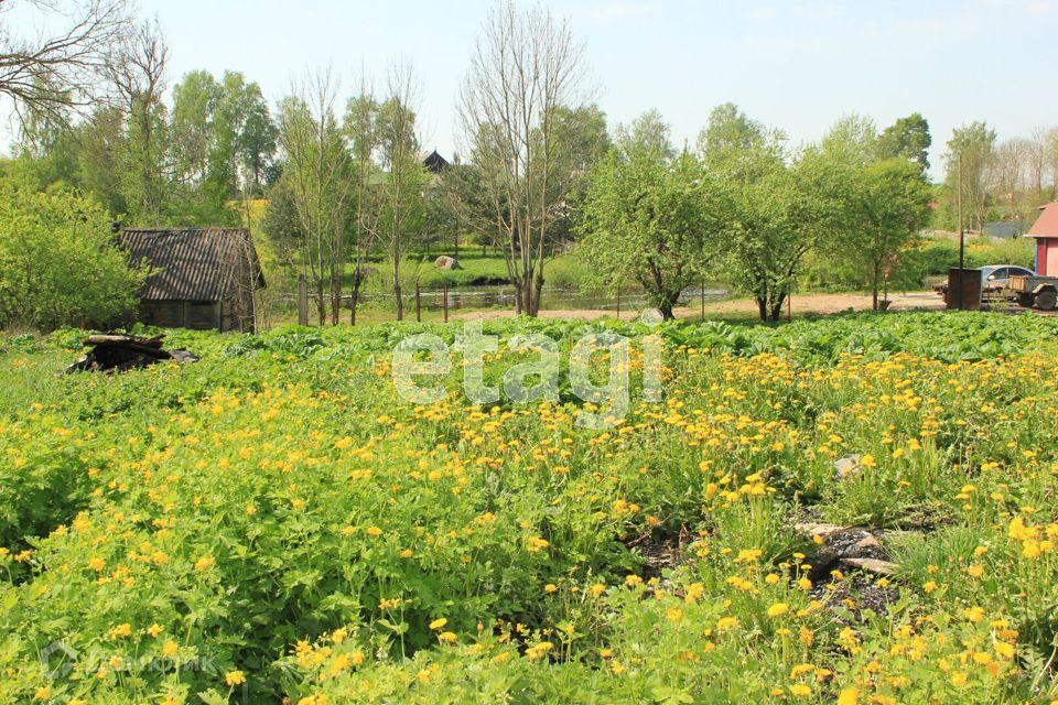 земля р-н Шимский село Подгощи фото 3