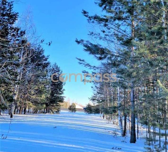 земля р-н Нижнетавдинский село Тюнево фото 5