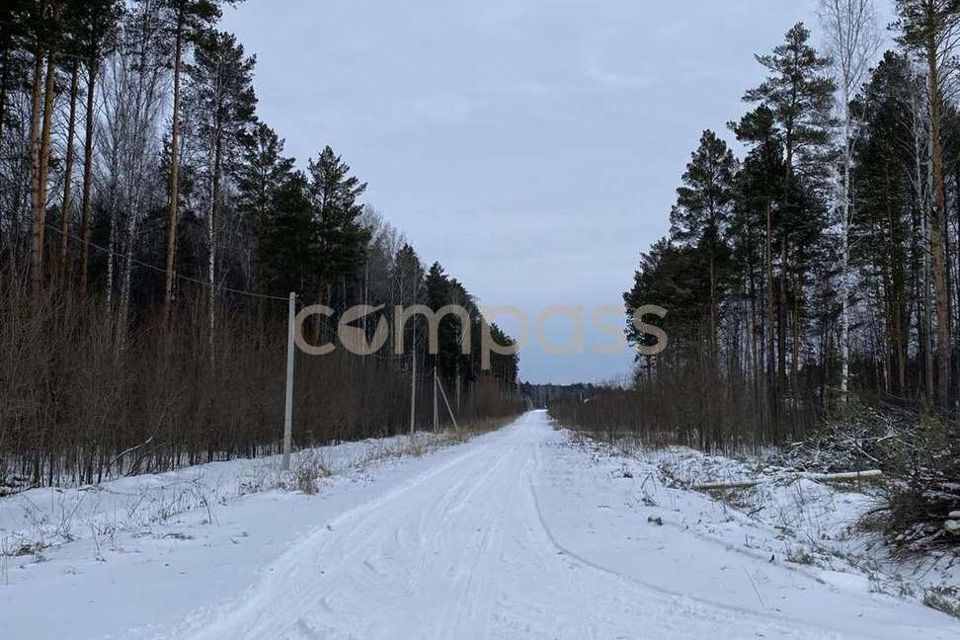 земля р-н Нижнетавдинский село Тюнево фото 10