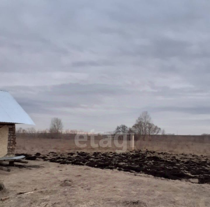 земля р-н Стерлитамакский с Старое Барятино микрорайон Луговой сельсовет, Казадаевский фото 6