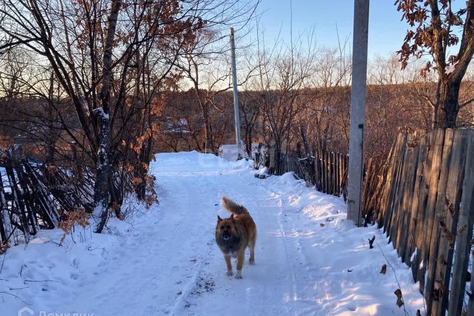 земля г Благовещенск СТ Светлана, городской округ Благовещенск фото 4