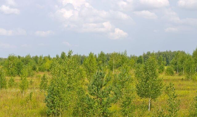 земля с Малахово Вощажниковское сельское поселение, Большое Село фото