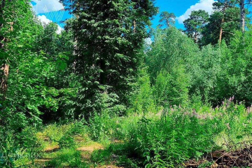 земля городской округ Одинцовский деревня Жуковка фото 3