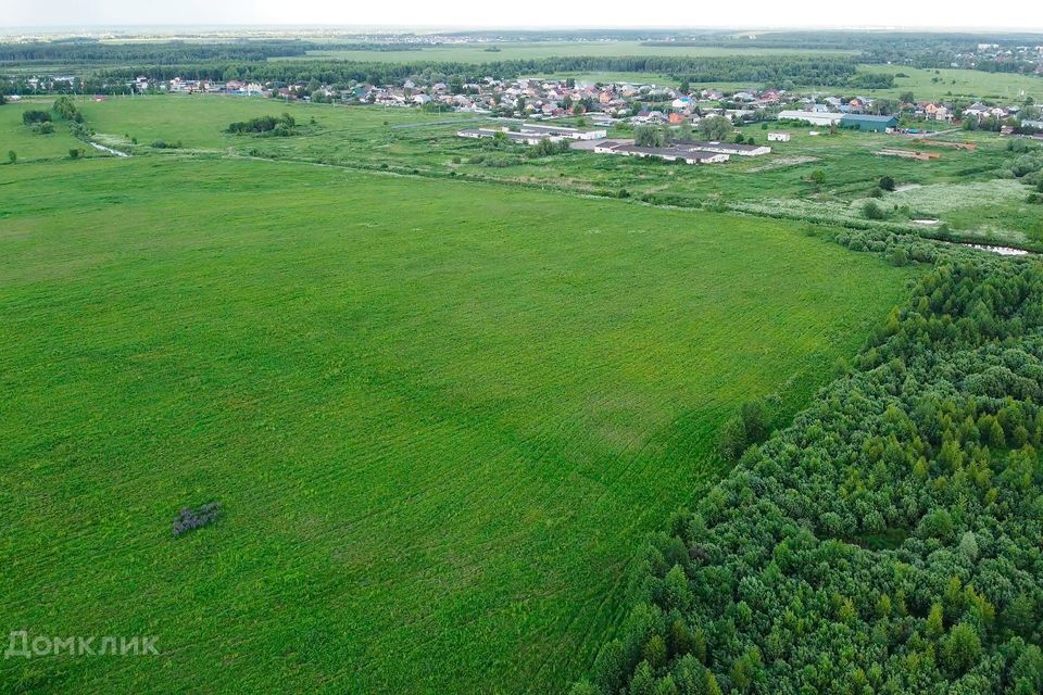 земля городской округ Павловский Посад фото 9