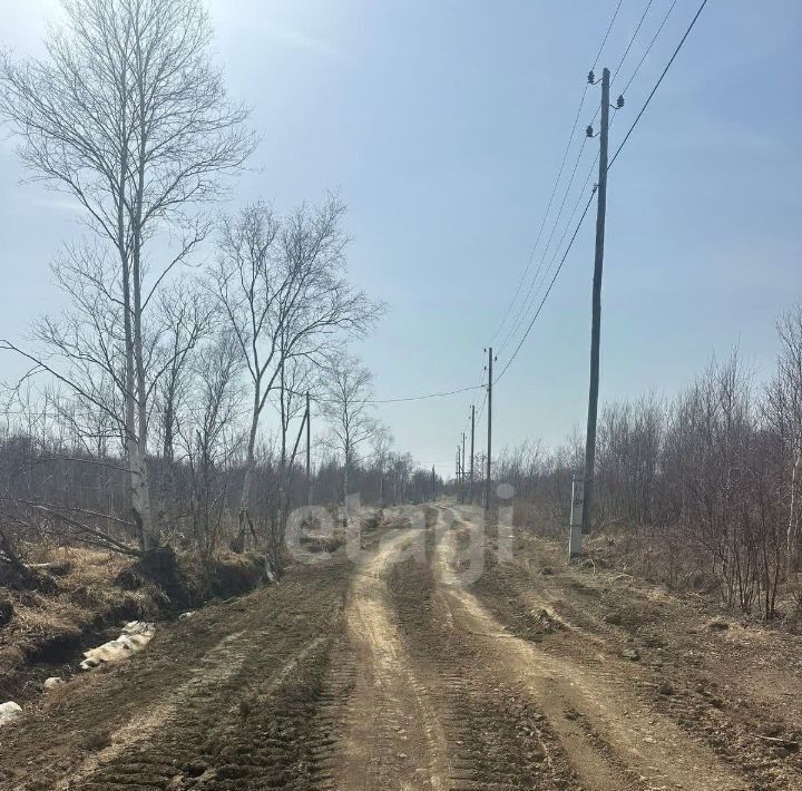 земля р-н Анивский снт Геркулес фото 4