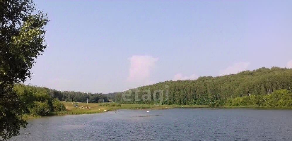 земля р-н Богородский д Оринкино ул Береговая фото 4