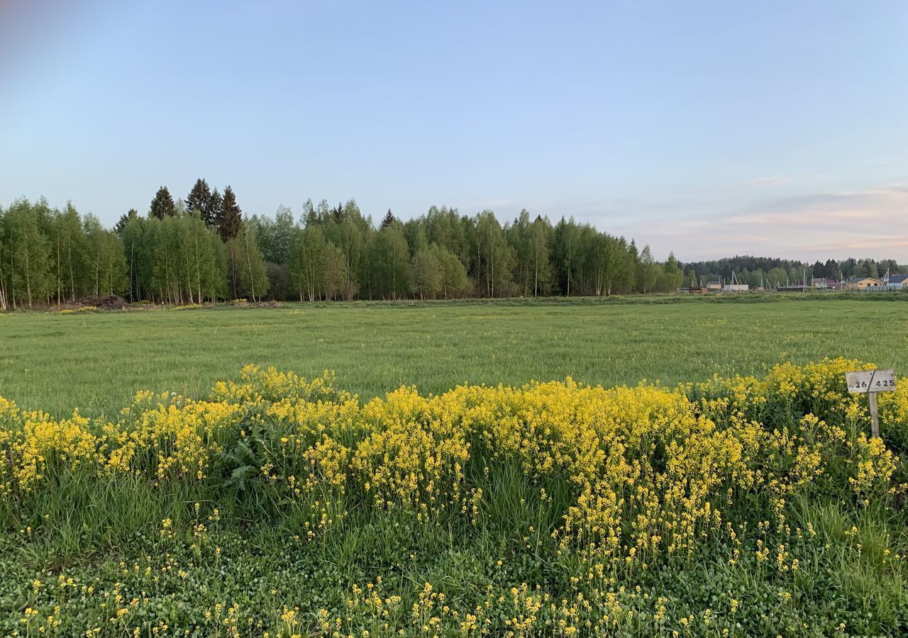 земля городской округ Дмитровский рп Деденево дп. Ольшаны фото 1